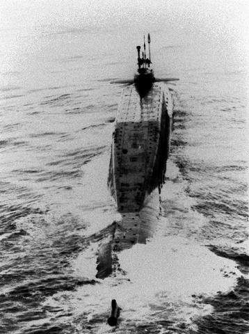 Фотография 35 из 156